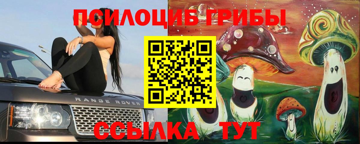 ГАШ  ГАШ  Вход с VPN  МЕТ  Меф   Конопля  Экстази  Карпинск  MDMA 