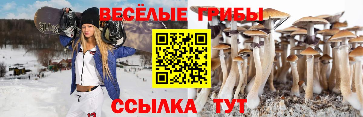 Галлюциногенные грибы мицелий  Псилоцибиновые грибы Psilocybe  цена наркотик  Карпинск  Вход с VPN 